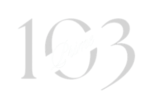 Liza & Josh performing live music at 103 Prime in Park Ridge, NJ