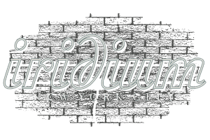Liza & Josh performing live music at The Iridium in New York City